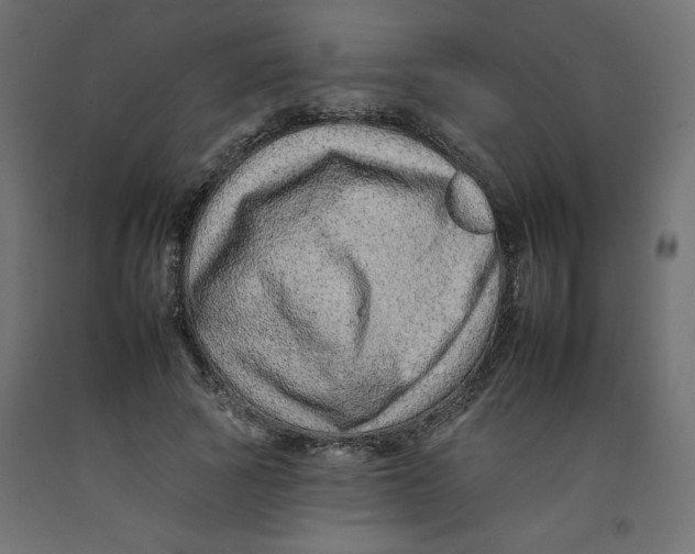 X0000092260737200710121339