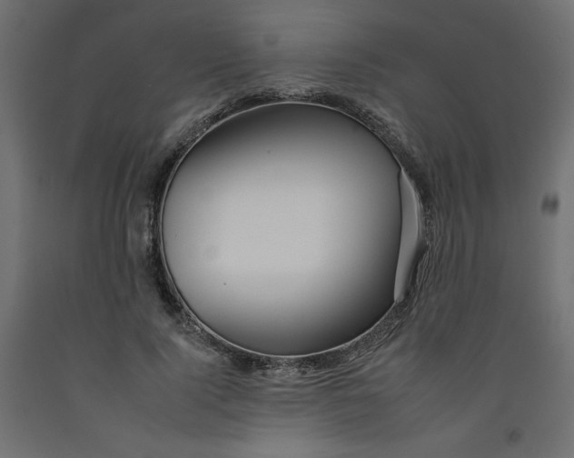 X0000092260740200710121339