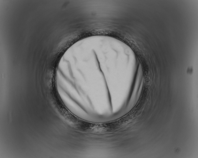 X0000092260742200710121339