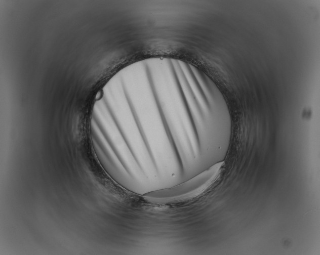 X0000092260743200710121339