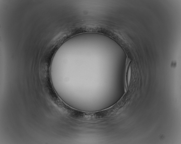 X0000092260744200710121339