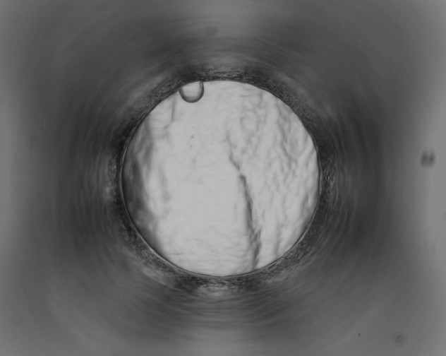 X0000092260745200710121339