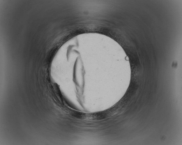 X0000092260746200710121339