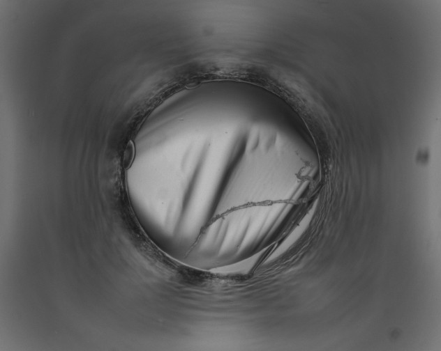 X0000092260748200710121339