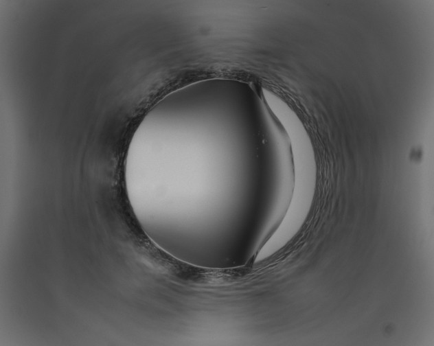 X0000092260750200710121339