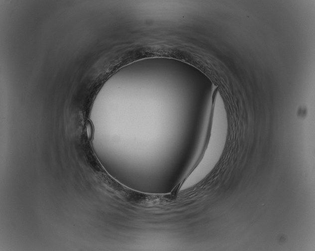 X0000092260752200710121339