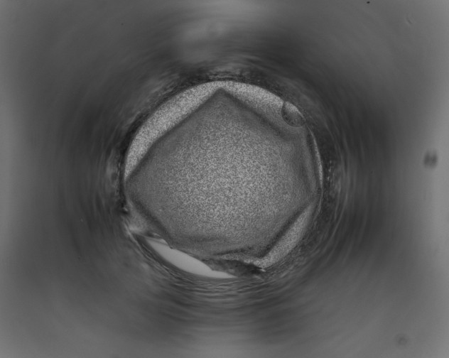 X0000092260753200710121339