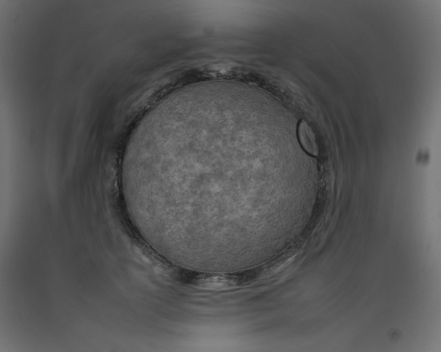 X0000092260754200710121339