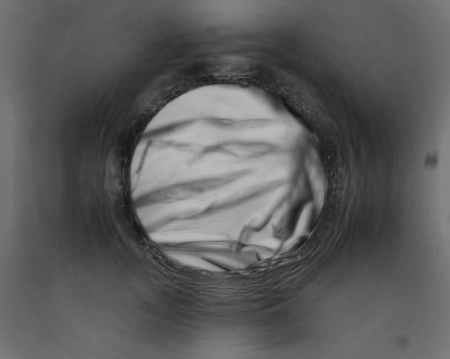 X0000092260755200710121339