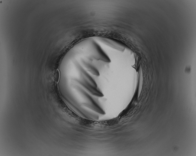 X0000092260756200710121339