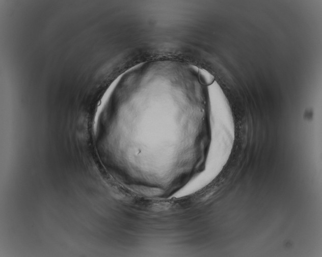 X0000092260757200710121339