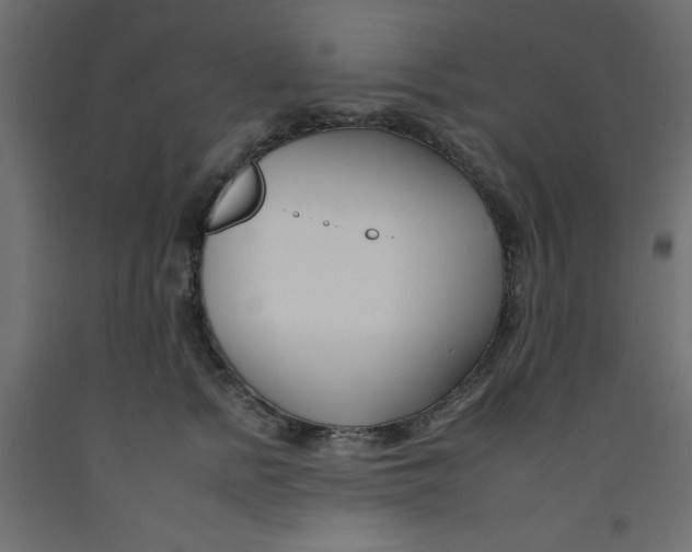 X0000092260758200710121339