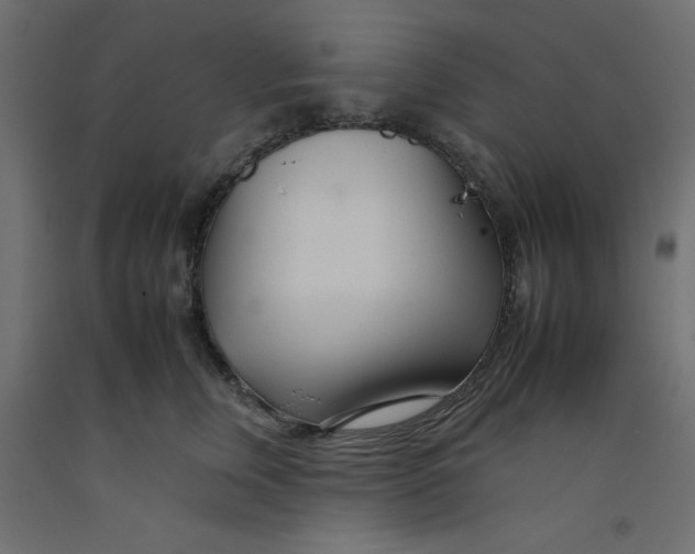 X0000092260759200710121339