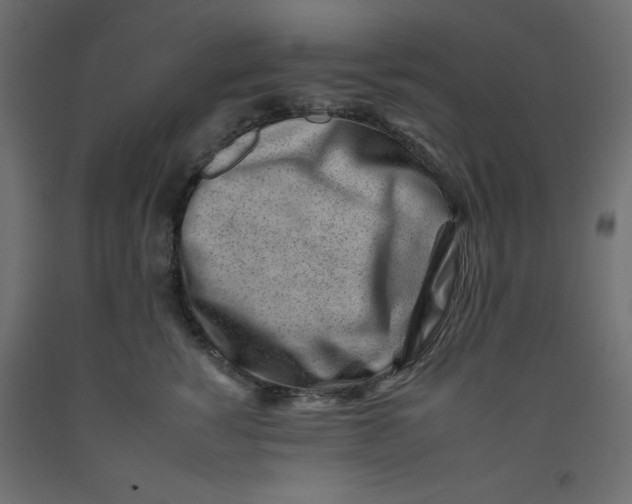 X0000092260760200710121339