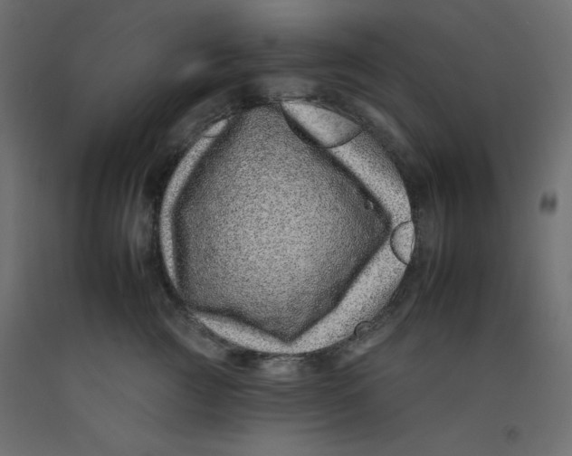 X0000092260761200710121339