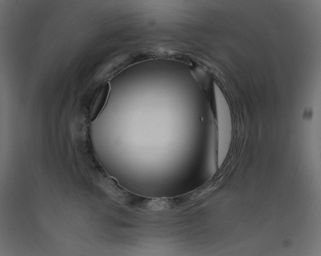 X0000092260762200710121339