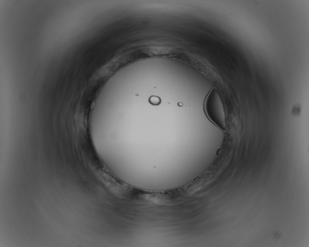 X0000092260763200710121339