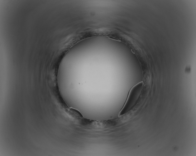 X0000092260764200710121339