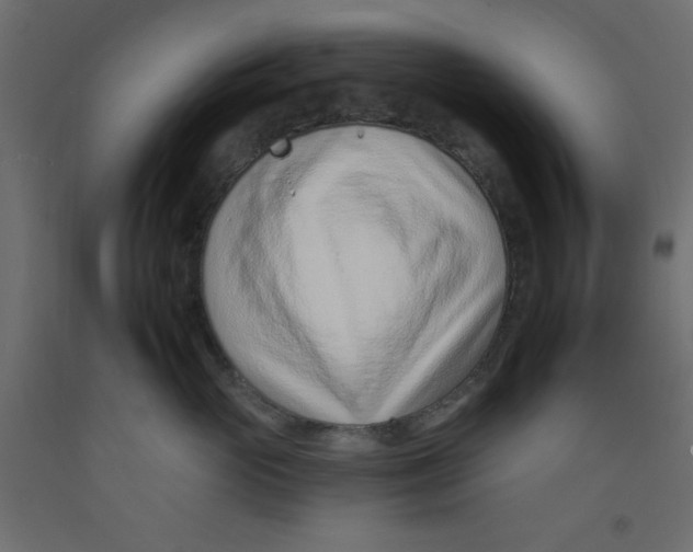 X0000092260765200710121339