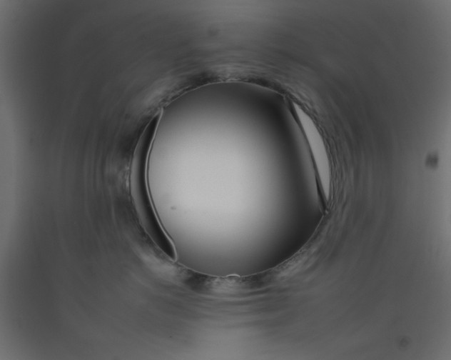 X0000092260766200710121339