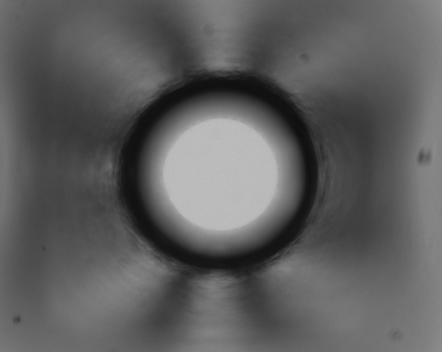 X0000092260768200710121339