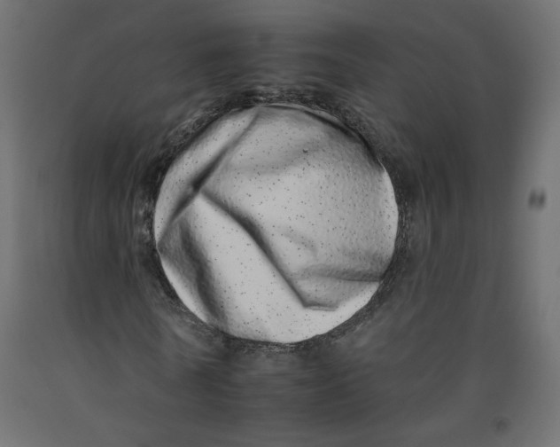 X0000092260770200710121338