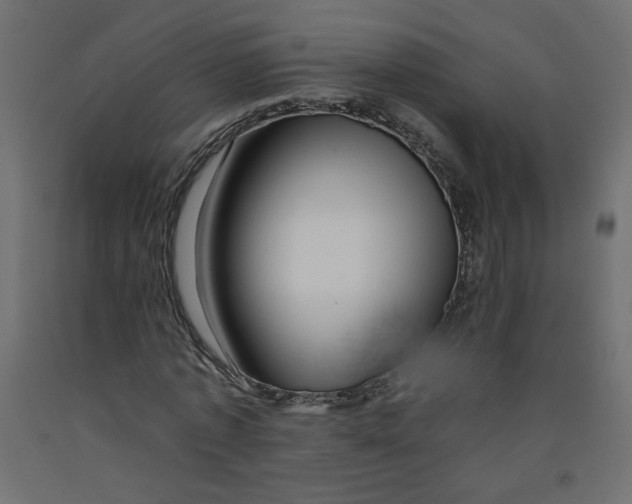 X0000092260773200710121338