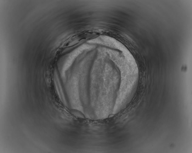 X0000092260774200710121338