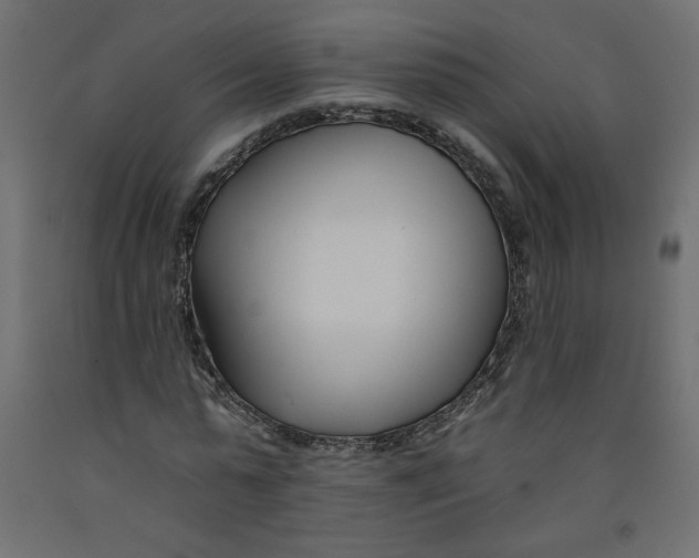 X0000092260775200710121338