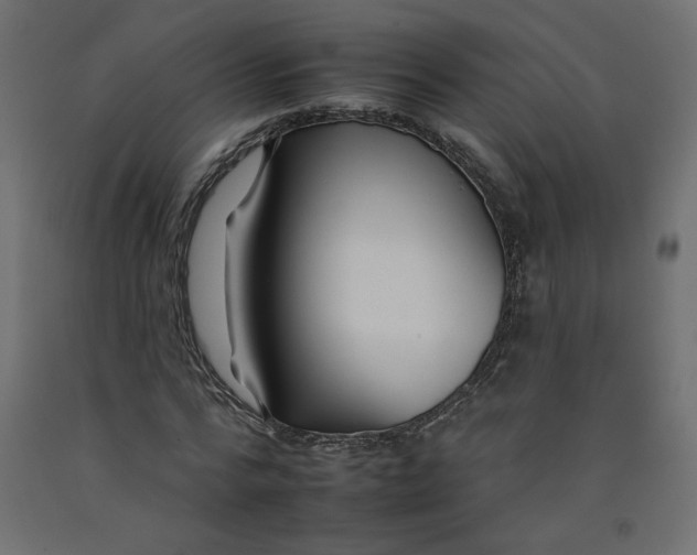 X0000092260776200710121338