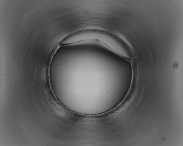 X0000092260777200710121338