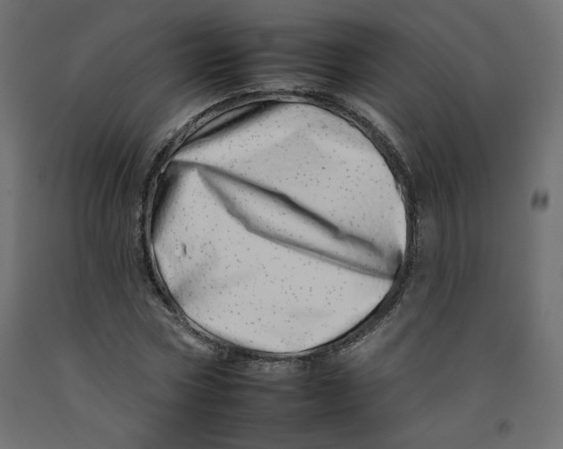 X0000092260778200710121338