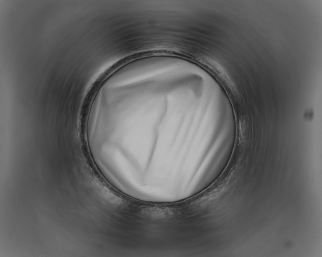 X0000092260780200710121338