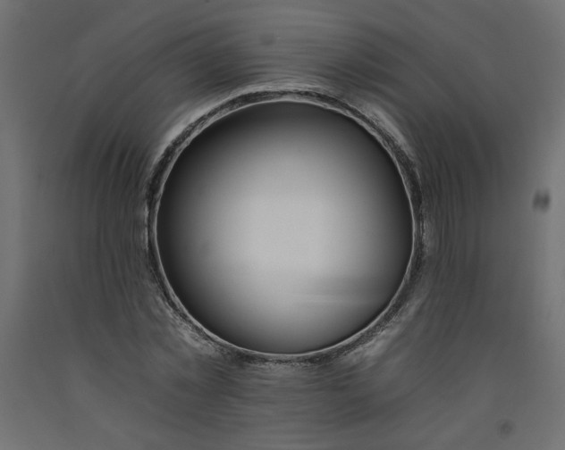 X0000092260781200710121338