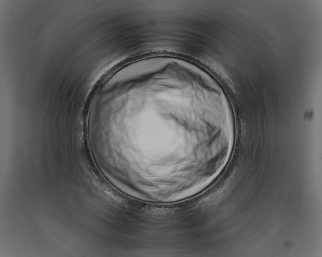 X0000092260782200710121338