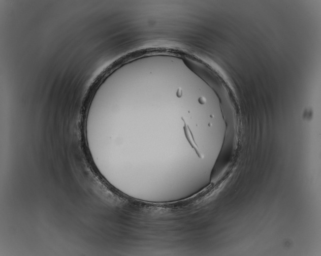 X0000092260783200710121338