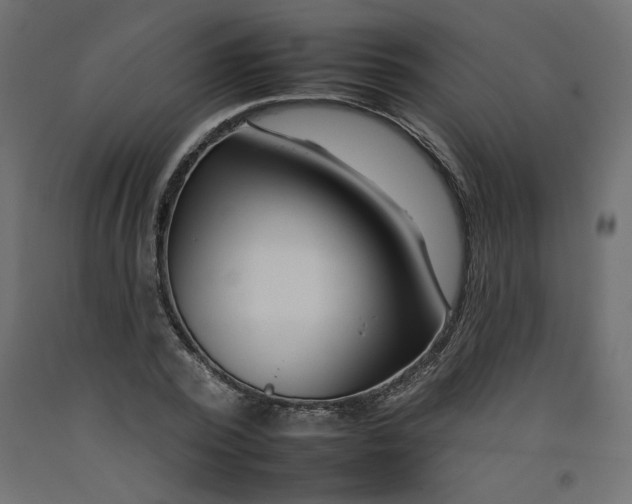 X0000092260784200710121338