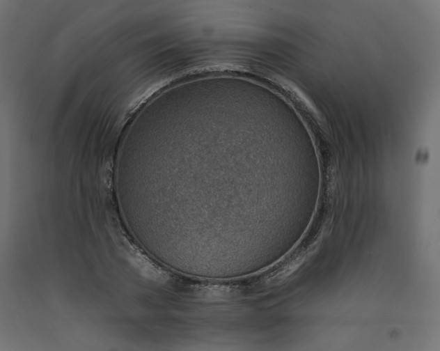 X0000092260785200710121338