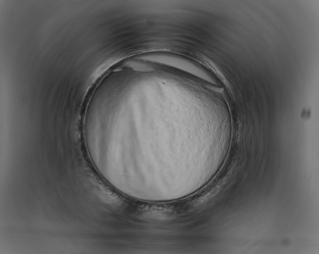 X0000092260786200710121338