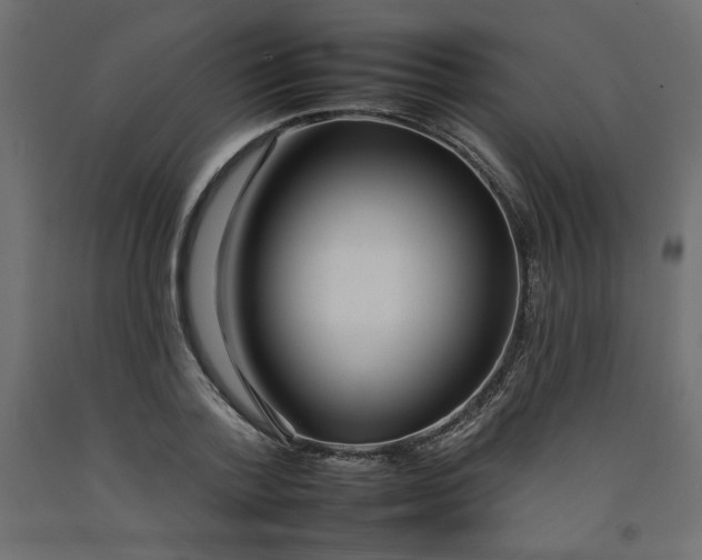 X0000092260788200710121338