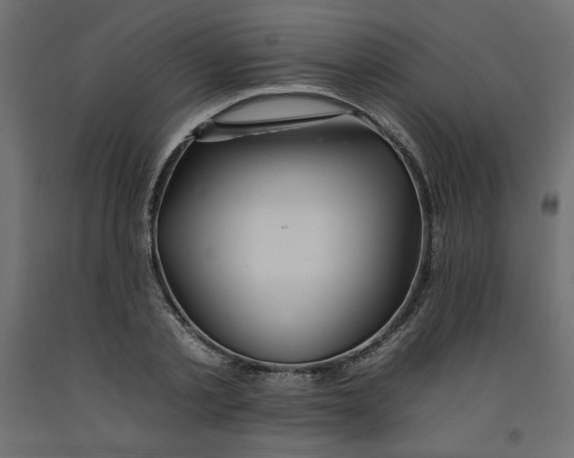 X0000092260789200710121338