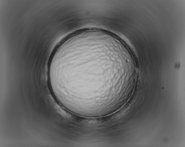 X0000092260791200710121338