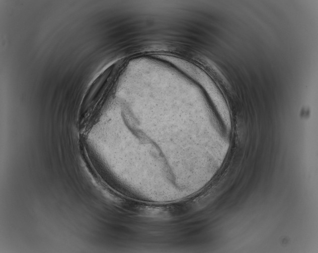 X0000092260794200710121338