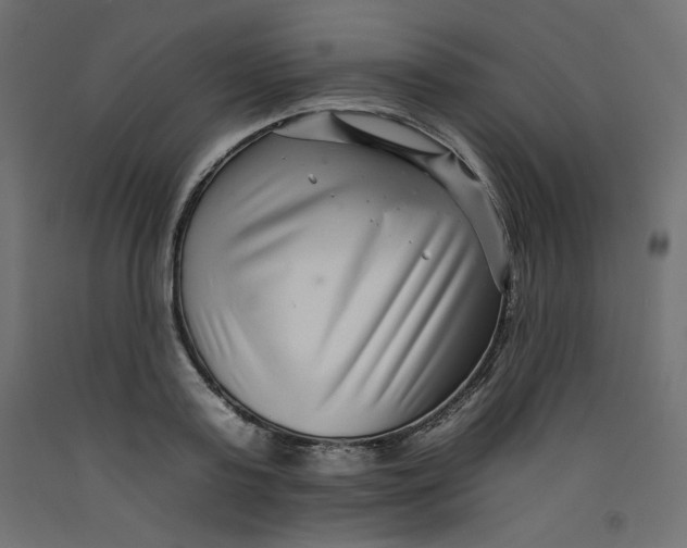 X0000092260795200710121338