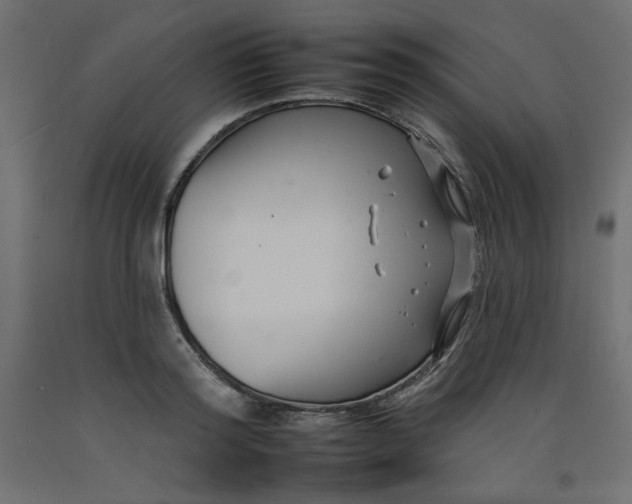 X0000092260796200710121338