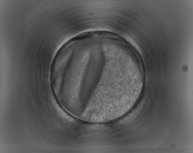 X0000092260797200710121338