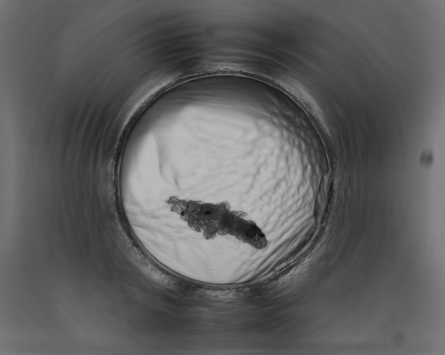 X0000092260798200710121338