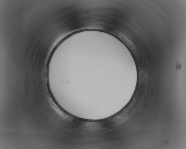 X0000092260800200710121338