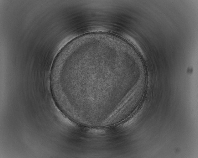 X0000092260802200710121338