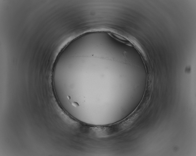 X0000092260805200710121338